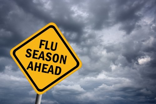 Fluseason